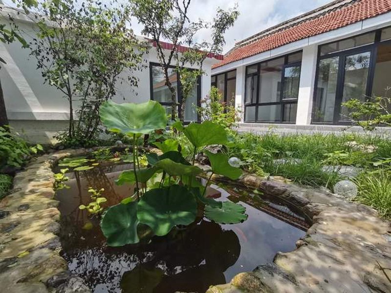 城市民宿托管：抓住旅游市场的脉搏